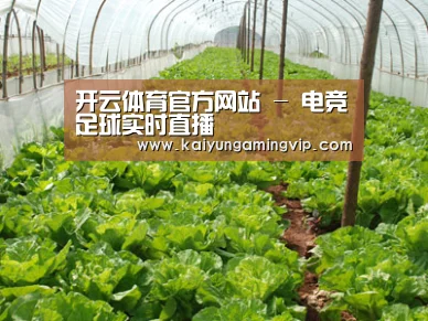 种植基地五